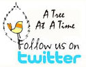 A tree at at time twitter